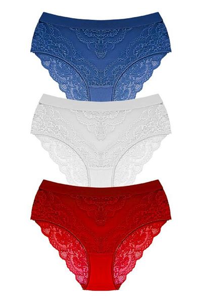 Cottonhill Large Size Lace Transparent Bikini Panties - Pack of 3