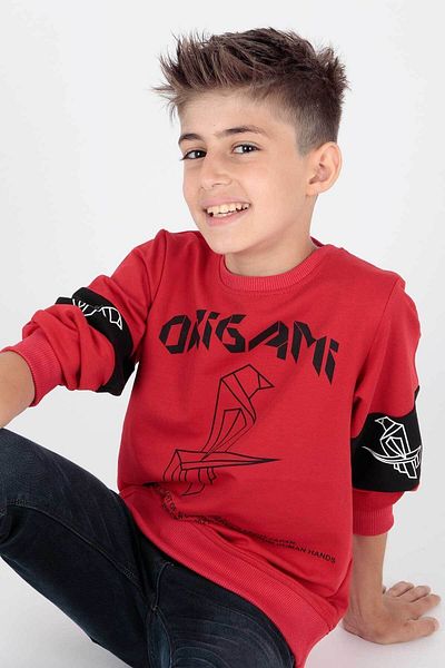 AHENGİM Boy's Origami Printed Sweatshirt - Ak15160