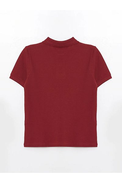 LC Waikiki Learning Enthusiast Polo Neck Boy T-Shirt