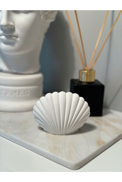 Sea Shell Oyster Trinket Decor