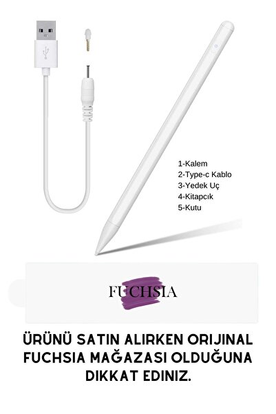 Fuchsia Apple Ipad Pro Air Için Avuç Içi Algılamayan Stylus Pen Fskl03