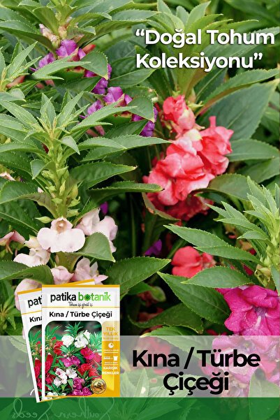 Patika Botanik 30 Adet Türbe Çiçeği (IMPATİENS BALSAMİNA) Çiçek Tohumu