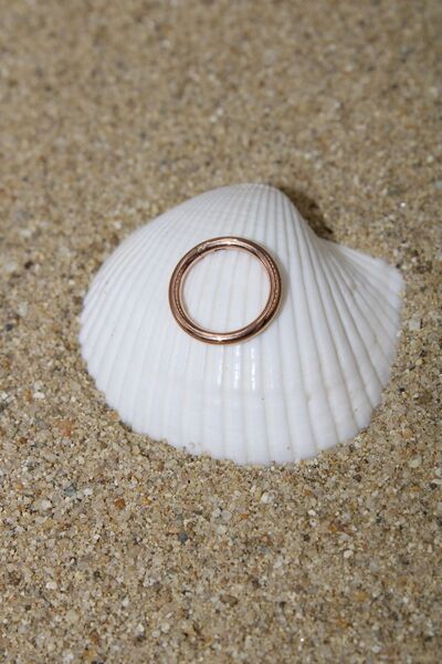 NOBLE GETTO Piercing Cerrahi Çelik Piercing Klipsli Kıkırdak Septum Tragus Conch Helix Rose Renk Klasik Halka