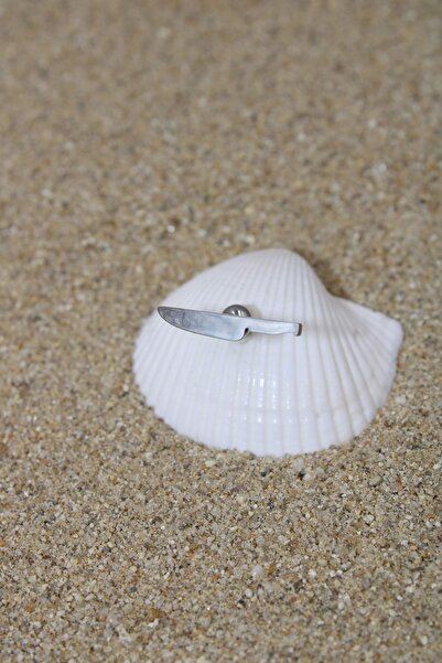 NOBLE GETTO Piercing Cerrahi Çelik Piercing Kıkırdak Tragus Conch Helix Silver Renk