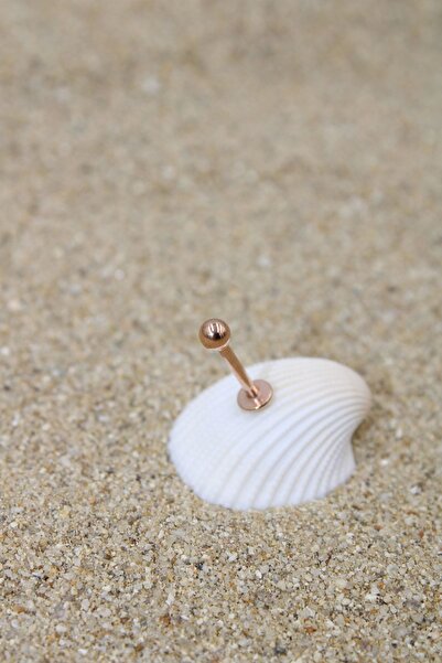 NOBLE GETTO Piercing Cerrahi Çelik Piercing Kıkırdak Tragus Conch Helix Rose Renk Top Çap 3 Mm Labret