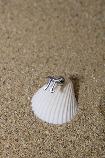 NOBLE GETTO Piercing Cerrahi Çelik Piercing Kıkırdak Tragus Conch Helix Silve...
