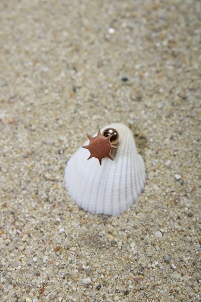 NOBLE GETTO Piercing Cerrahi Çelik Piercing Kıkırdak Tragus Conch Helix Rose Renk Klasik Güneş