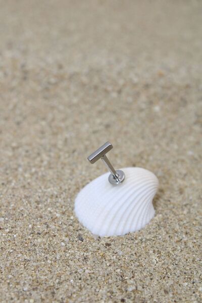 NOBLE GETTO Piercing Cerrahi Çelik Piercing Kıkırdak Tragus Conch Helix Silver Renk Dikdörtgen Labret