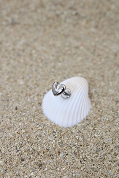 NOBLE GETTO Piercing Cerrahi Çelik Piercing Kıkırdak Tragus Conch Helix Silver Renk Kalp Labret