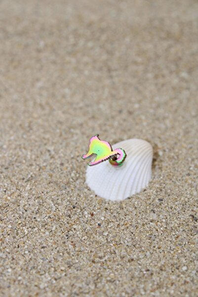 NOBLE GETTO Piercing Cerrahi Çelik Piercing Kıkırdak Tragus Conch Helix Gökkuşağı Renk Kızgın Kedi