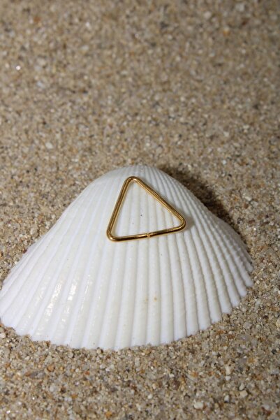 NOBLE GETTO Piercing Cerrahi Çelik Piercing Kıkırdak Tragus Conch Helix Gold Renk Üçgen