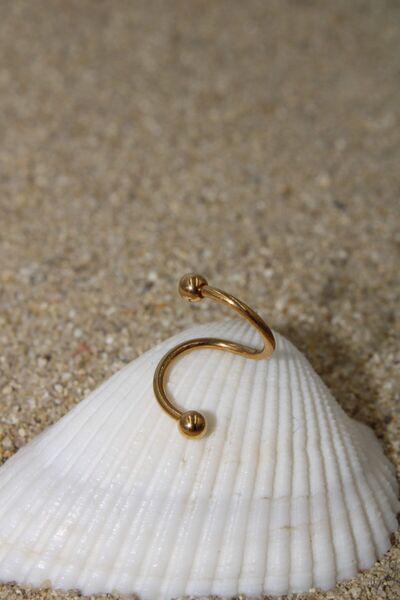 NOBLE GETTO Piercing Cerrahi Çelik Piercing Spiral Kıkırdak Tragus Conch Helix Gold Renk
