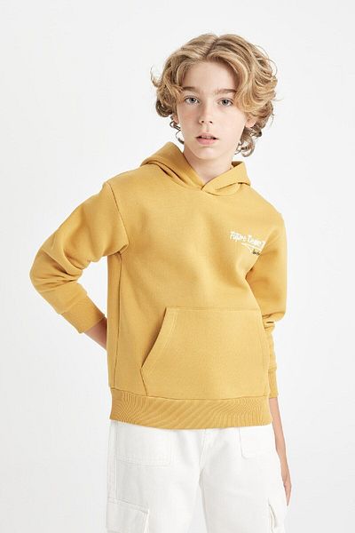DeFacto Dickes Schul-Sweatshirt mit Kapuze und bedruckter Tasche für Jungen C7560a824au
