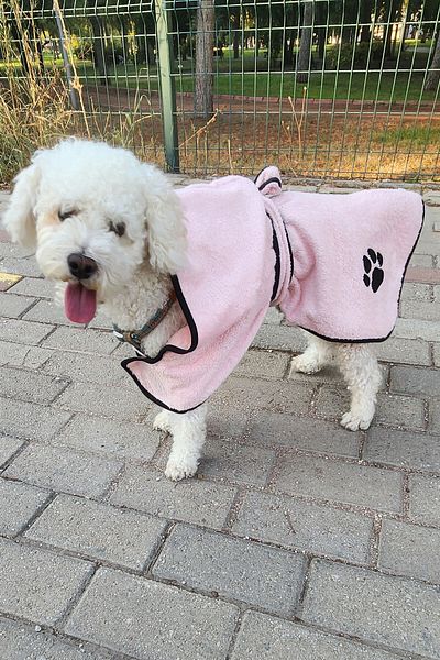 EFFE Cotton Hooded 2-piece Dog Bathrobe Set