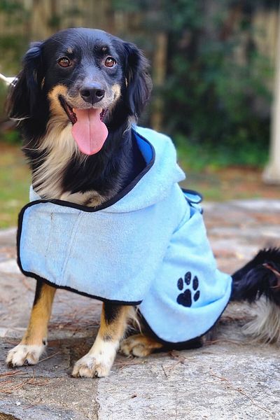 EFFE Cotton Hooded 2-piece Dog Bathrobe Set
