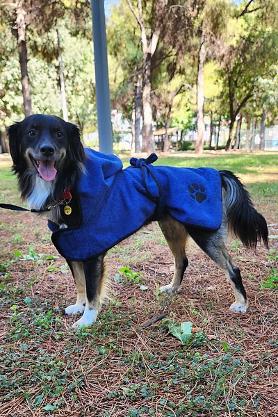 EFFE Cotton Hooded 2-piece Dog Bathrobe Set