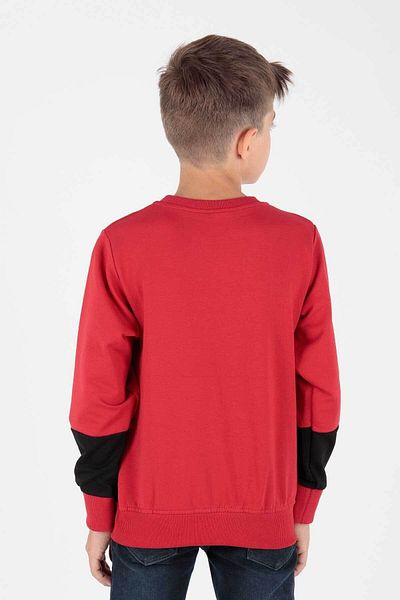 AHENGİM Boys' Trend Printed Sweatshirt - Ak15121
