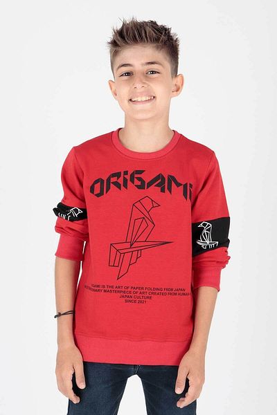 AHENGİM Boy's Origami Printed Sweatshirt - Ak15160