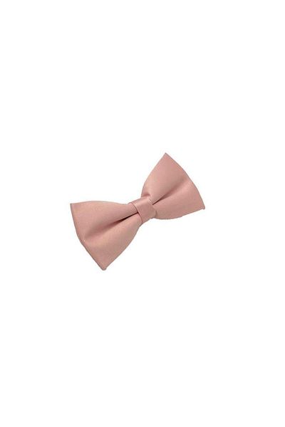 Brianze Satin Bow Tie - Solid Colored Powder
