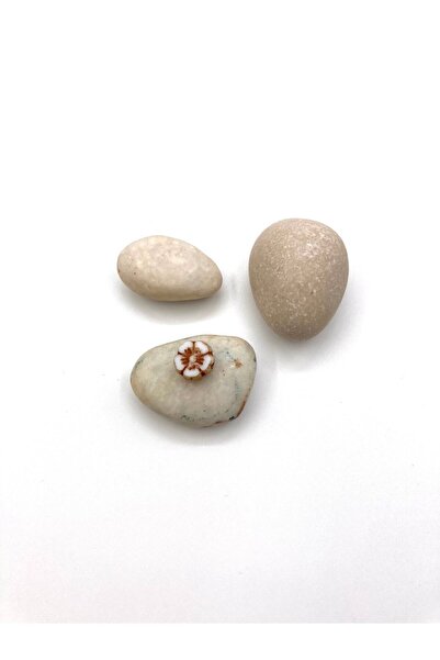 takitokaciniz Çek Camı Kolye Bileklik Aparatı