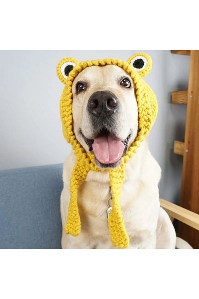 TRENDİN YOLU Green frog dog hat funny cute handmade