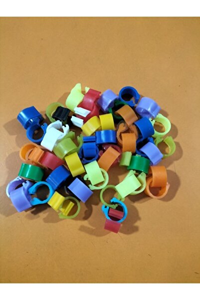 Storm 50 Adet Çıtçıtlı Güvercin Bileklik