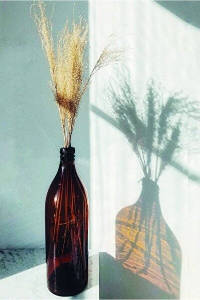 Genel Markalar Retro Uzun Amber Cam Şişe Vazo 500 Ml