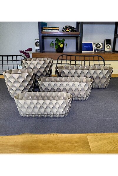 ToXA 5 Parça Elmas Saksı Seti Gümüş Parlak Küçük Boy Kaktüs Sukulent Menekşe ...