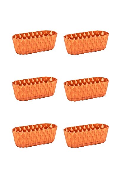 ToXA 6 Adet Elmas Uzun Saksı Seti 1,9 Litre Bakır 27,5cm Kaktüs Menekşe Sukul...