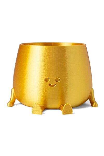 ToXA Mini Boy Sevimli Tombul Saksı 0.2 Litre Sukulent Saksısı Altın