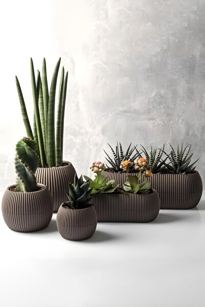 5 Pieces Blackwater Plastic Coral Flower Pot Set Brown Cactus Succulent Flower Pot Set
