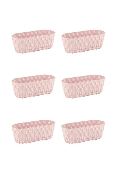 ToXA 6 Adet Elmas Uzun Saksı Seti 0,85 Litre Pembe 21,5cm Kaktüs Menekşe Suku...