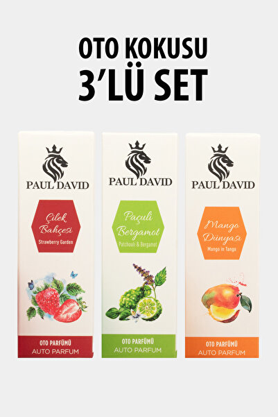 Paul David Dekoratif Araç Oto Kokusu 3 lü Set ( Mango-Çilek-Paçuli)