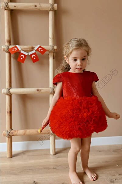 penu baby kids Kırmızı Tütülü Kısa Kol Kız Bebek Elbise - Princess
