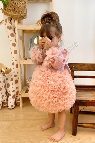 penu baby kids Gül Kurusu Tütülü Uzun Kol Kız Bebek Elbise - Princess