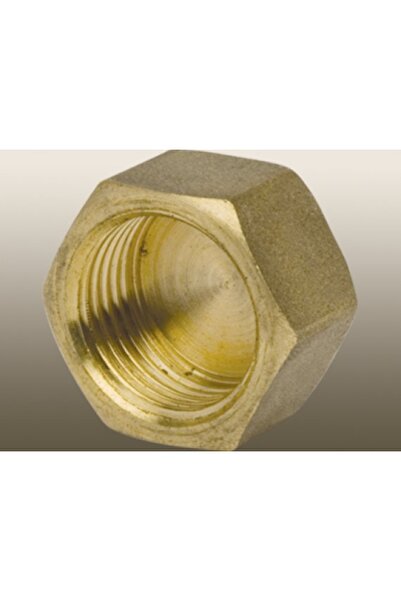 Asel Sarı Dişi Kör Tapa 1/2"