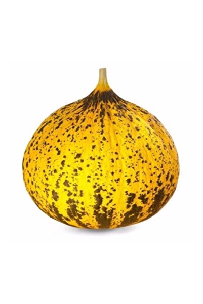 Altınbaş Kırkağaç 637 Kavun Tohumu-10 Gram