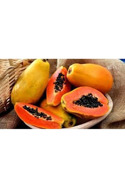 Köy Tohumları 5 Adet Tohum Nadir Papaya Meyvesi Tohumu Papaya Ağacı Ağaç Tohu...