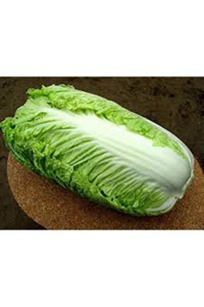 Köy Tohumları 50 Adet Tohum Nadir Tropikal Çin Marol Marul Tohumu Kaliteli Çıtır Marulu Saksı Topraklı