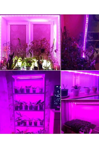 Spectra Full Spectrum Bitki Yetiştirme (geliştirme ) 2 Metre Şerit Led (adaptör Dahil) 380-740 Nm