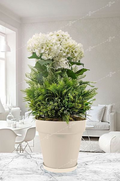 ToXA 1.7 Liter Ø16X14.5Cm Decorative Plastic Flower Pot with Matte Off-White Plate and Grill No2