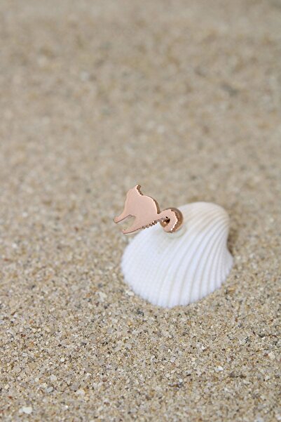 NOBLE GETTO Piercing Cerrahi Çelik Piercing Kıkırdak Tragus Conch Helix Rose Renk Kızgın Kedi