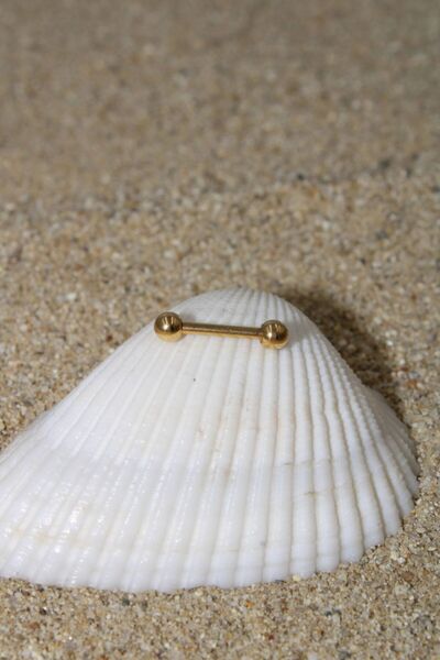 NOBLE GETTO Piercing Cerrahi Çelik Piercing Kıkırdak Tragus Conch Helix Nipple Gold Renk Top Çap 3 Mm Toplu