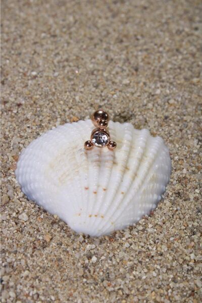 NOBLE GETTO Piercing Cerrahi Çelik Piercing Zirkon Taşlı Kıkırdak Tragus Conch Helix Rose Renk Üç Top