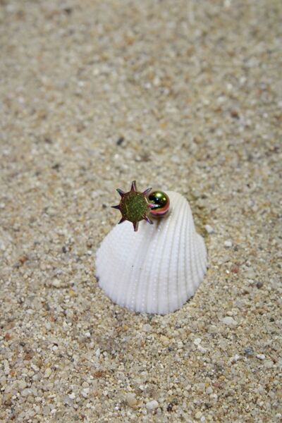 NOBLE GETTO Piercing Cerrahi Çelik Piercing Kıkırdak Tragus Conch Helix Gökkuşağı Renk Klasik Güneş