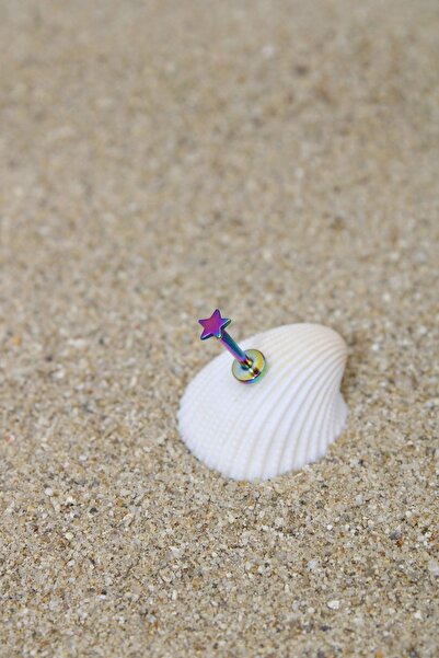 NOBLE GETTO Piercing Cerrahi Çelik Piercing Kıkırdak Tragus Conch Helix Gökkuşağı Renk 3 Mm Yıldız Labret