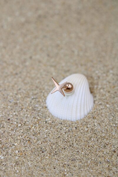 NOBLE GETTO Piercing Cerrahi Çelik Piercing Kıkırdak Tragus Conch Helix Rose Renk Büyük Yıldız Toplu