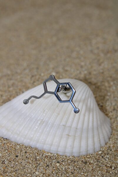 NOBLE GETTO Piercing Cerrahi Çelik Piercing Kıkırdak Tragus Conch Helix Silver Renk Serotonin