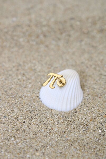 NOBLE GETTO Piercing Cerrahi Çelik Piercing Kıkırdak Tragus Conch Helix Gold Renk Pi Sayısı Labret