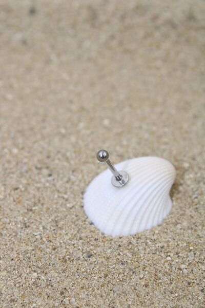 NOBLE GETTO Piercing Cerrahi Çelik Piercing Kıkırdak Tragus Conch Helix Silver Renk Top Çap 2,50 Mm Labret